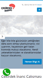 Mobile Screenshot of cekirdekinanc.com.tr
